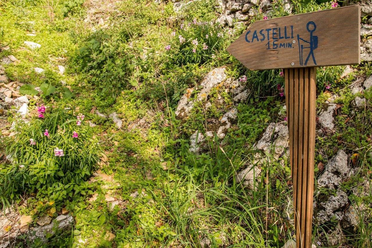 Maison d'hôtes Castelli Olive Press à Akharavi Extérieur photo